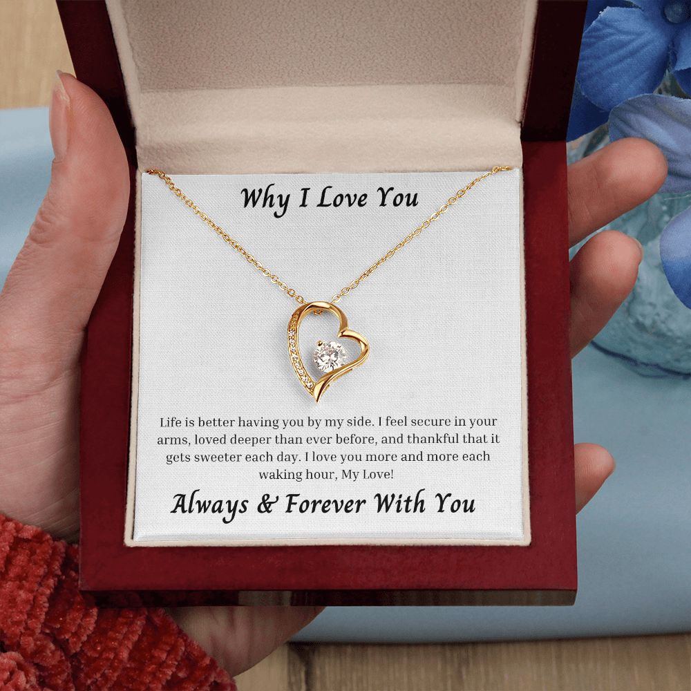 Why I Love You 004 Forever Love Necklace