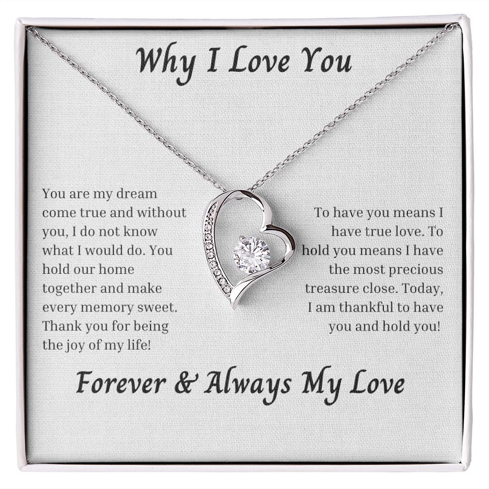 Why I Love You 006 Forever Love Necklace