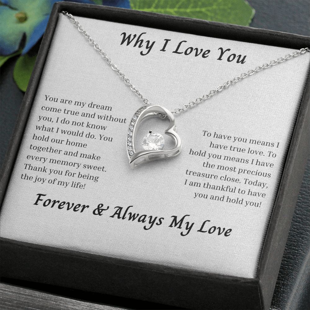 Why I Love You 006 Forever Love Necklace